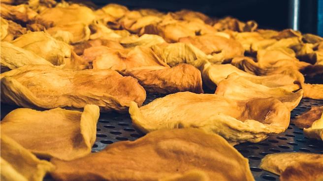 台南市官田區農會芒果乾烘製廠，是採燃燒重油的方式烘製芒果，能鎖住水果香氣，深受農民喜愛。（官田區農會提供／張毓翎台南傳真）