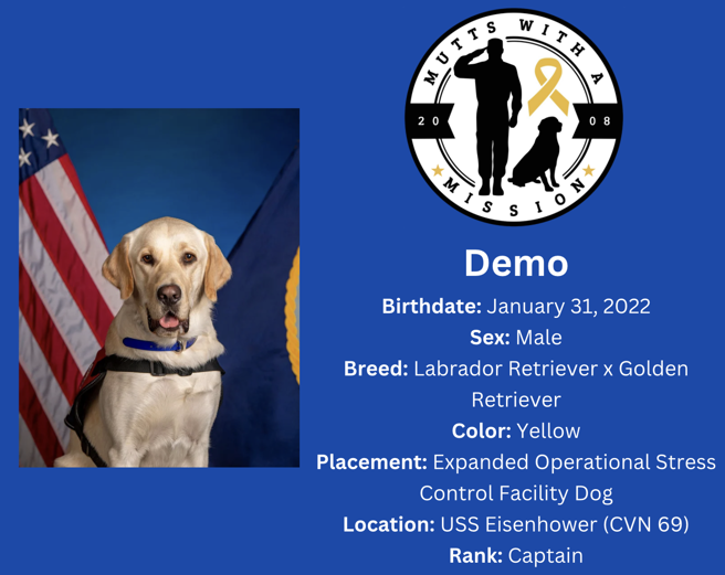 艾森豪號航艦的「狗艦長」德莫，還有自己的職銜。(圖/美國海軍)