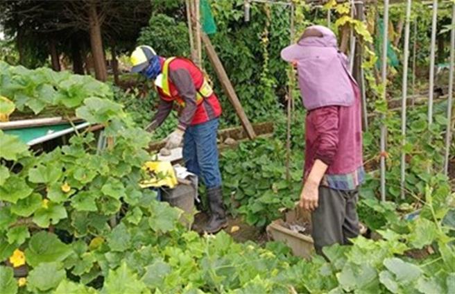 台中北区1名女童登革热NS1抗原快筛阳性，中市卫生局迅速执行社区防治工作。（台中市政府提供／冯惠宜台中传真）