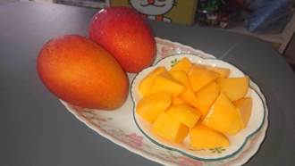 切芒果狂滴汁 農糧署教3招「腰部劃1刀」秒品嘗