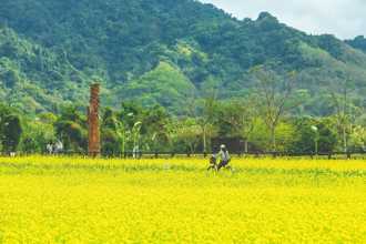 騎乘享受森林浴  大農大富平地森林園區自行車道