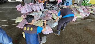 可惡至極！上千隻鯊魚遭割鰭棄身 違規魚翅卻無法沒入