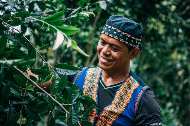 布农族人谢国华经营的「拿普原生有机茶园」採用有机自然农法种植茶叶，在交通部观光署茂林国家风景区管理处产业辅导挹注下，「拿普原生茶」荣获今年「比利时国际风味评鑑奖」的「2024绝佳风味二星奖章」。（茂管处提供／林雅惠高雄传真）