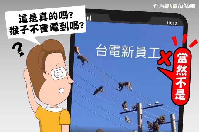 台电解释，网传猴群在电线上跑跳的影片，实际上并非在台湾所拍摄。（图／翻摄自脸书「台电电力粉丝团」）