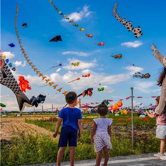 宜蘭風箏節報名系統出包網喊不公 鄉公所這麼做