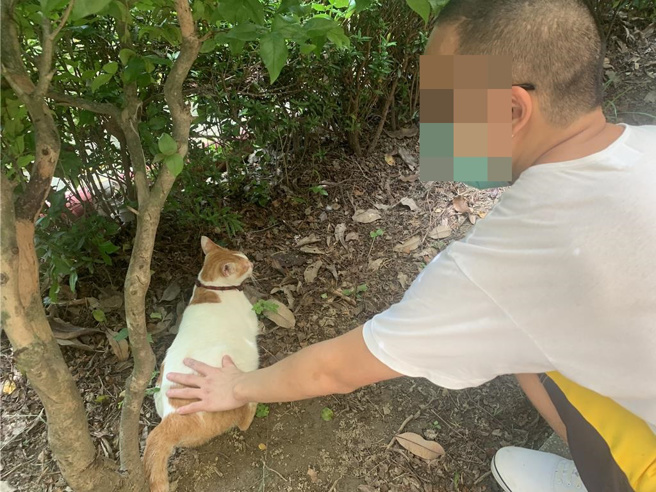 明阳中学学生照顾猫犬时，心态变得柔和安定、行为也较友善。（林雅惠摄）