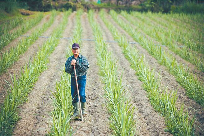 （圖／文總提供）