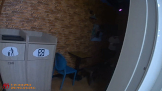 旗津深夜違停露餡 四條通逃亡一年半遭實習生識破