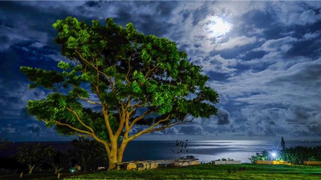 月光．海音乐会首场吸引近3000名游客参与。（东管处提供／蔡旻妤台东传真）