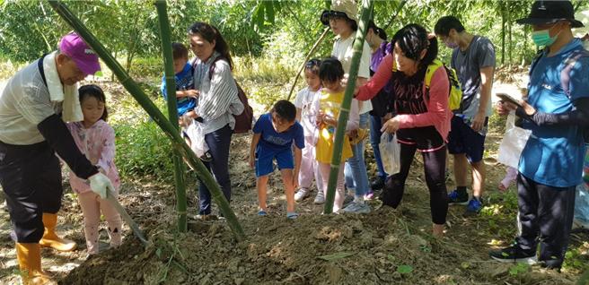 潭子區公所22日舉辦「2024潭子竹筍節」活動，邀請市民體驗竹筍從生長到採收歷程，動手挖竹筍、逛農產市集玩得不亦樂乎。（台中市府提供／陳淑芬台中傳真）