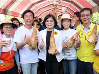 雲林斗南竹筍節23日登場 打造竹文化產業鏈