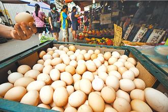 暑假出國多、停供營養午餐 蛋商公會：蛋價有下降空間