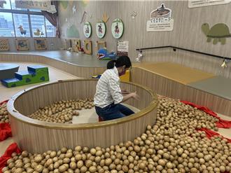 把兒童球池的球當腳底按摩器 家長怒轟噁心