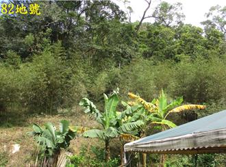 已故股市聞人黃任中欠稅不還   擔保人27筆市價6億土地遭拍賣