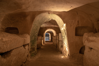 成都出土明朝「男男合葬墓」 墓志揭2人关系不简单