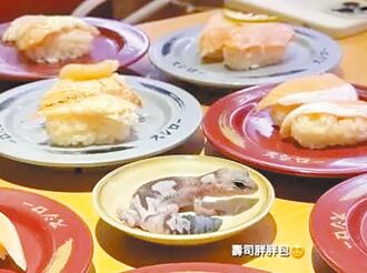 桃園 壽司店醬料碟放守宮 女大生挨轟