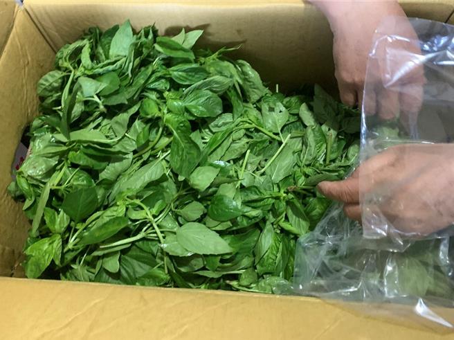 台北市衛生局25日公布5月生鮮蔬果殘留農藥抽驗結果，共計抽驗52件，12件產品不符規定，當中九層塔共3件。（台北市衛生局提供／劉瑋晴台北傳真）