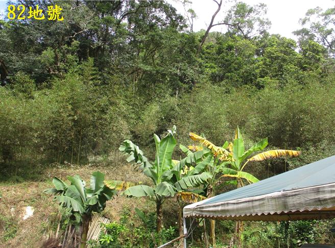 已故股市闻人黄任中积欠税款，担保人杨姓民眾土地遭拍卖。（士林分署提供）