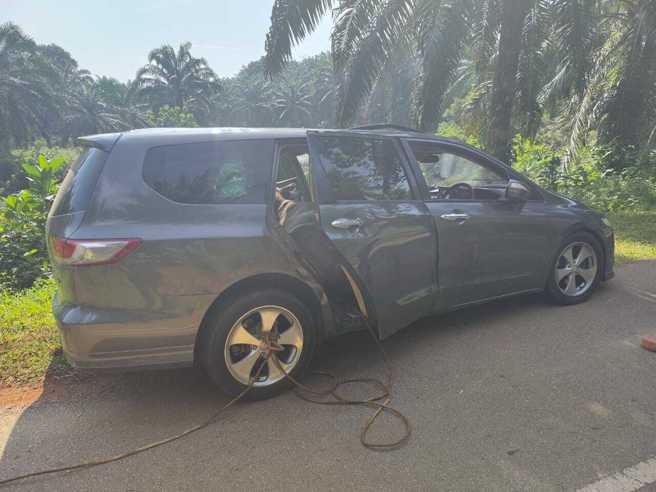 竊賊疑似失風才會棄車逃逸，車後座有3頭水牛。（翻攝中國報）