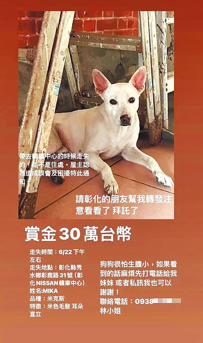 彰化林小姐的愛犬「MIKA」22日突然走失，林小姐一家人著急尋找，她在網路上祭出30萬元懸賞金。狗狗目前已平安回家。（翻攝自臉書社團「米克斯傳奇」／葉靜美彰化傳真）