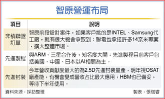 智原先进封装、车用双开花