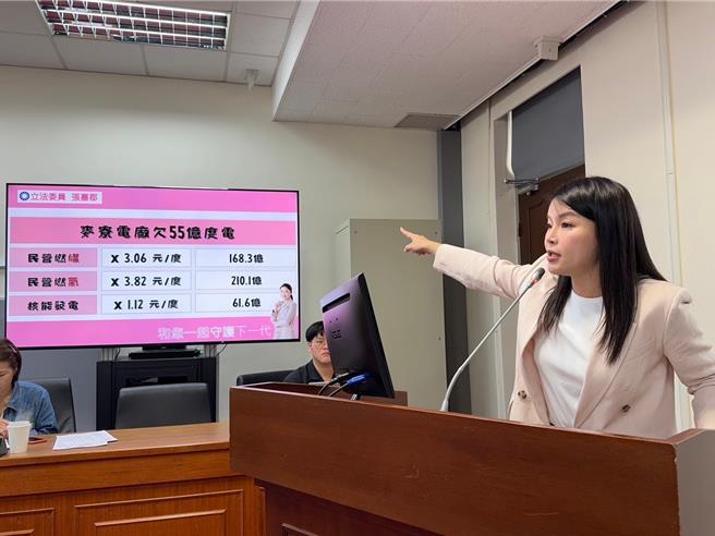 立法委员张嘉郡26日上午在立法院经济委员会质询。（张嘉郡办公室提供／陈薏云台北传真）