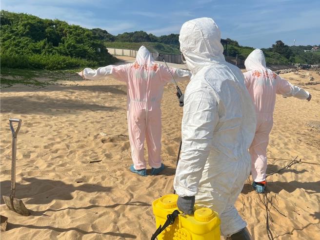 金門烈嶼鄉青岐港岸際22日發現1隻漂流豬屍，防疫所人員赴現場執行檢體採樣後，相關防疫作業人員均已完成徹底消毒。(圖／民眾提供)