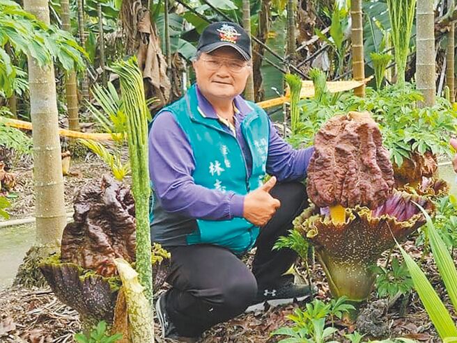 屏東縣新埤鄉前鄉長林志成涉貪遭起訴，林表示他不清楚人員進用法律，也沒拿到錢，沒有圖利意圖。（翻攝林志成臉書／羅琦文屏東傳真）