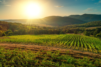 4生肖小暑後財氣沖天 屬兔金融、房產大賺一筆