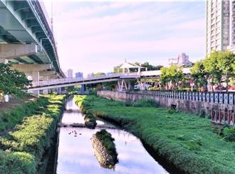 從都市到大自然 探索板橋湳仔溝的綠色轉變