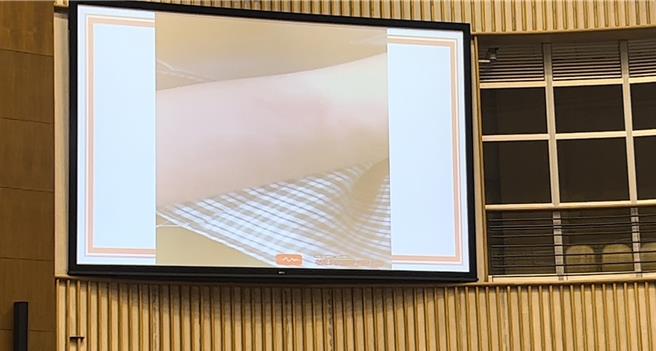 屏东县议会27日开议，县议员周陈晓玟踢爆枋寮乡某幼儿园有老师疑似体罚学童。（谢佳潾摄）