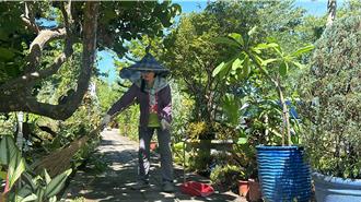 台东民眾绿美化人行道却挨罚 市公所：可申请认养