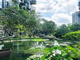 台中單元二「這社區」擁有超狂樹種收藏 帶動奢綠的品牌形象