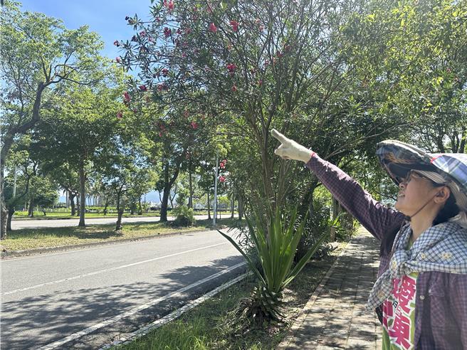 台东民眾王美琇在自家门前的人行道种植花草树木，遭到检举。（蔡旻妤摄）