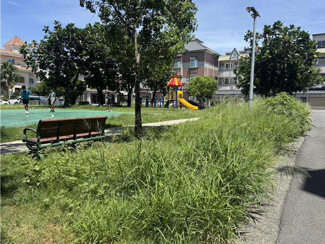 许多公园缺乏人力长期维护，杂草丛生。（蔡旻妤摄）