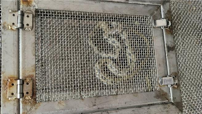 随着天气渐热，蛇类开始出没活动。南投县埔里镇、草屯镇25日下午先后传出车行鸟笼出现「臭青母」，工地鹰架又有锦蛇出没，1天就补了10尾蛇，幸无民眾伤亡。（民眾提供／潘虹恩南投传真）