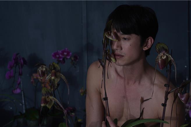 吴慷仁接受专访分享不怕再裸露。（台北双喜电影提供）