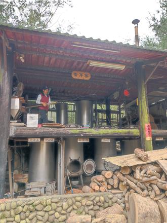 輕嗅林間香氣  跟著三貓慢遊三義找尋香茅的蹤跡