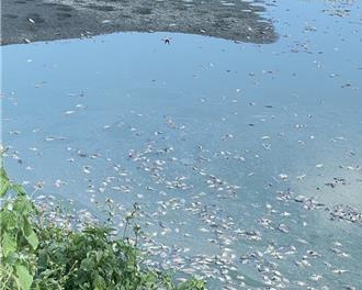 台南魚塭電纜頻遭竊 漁民「無語問蒼天」損失慘重