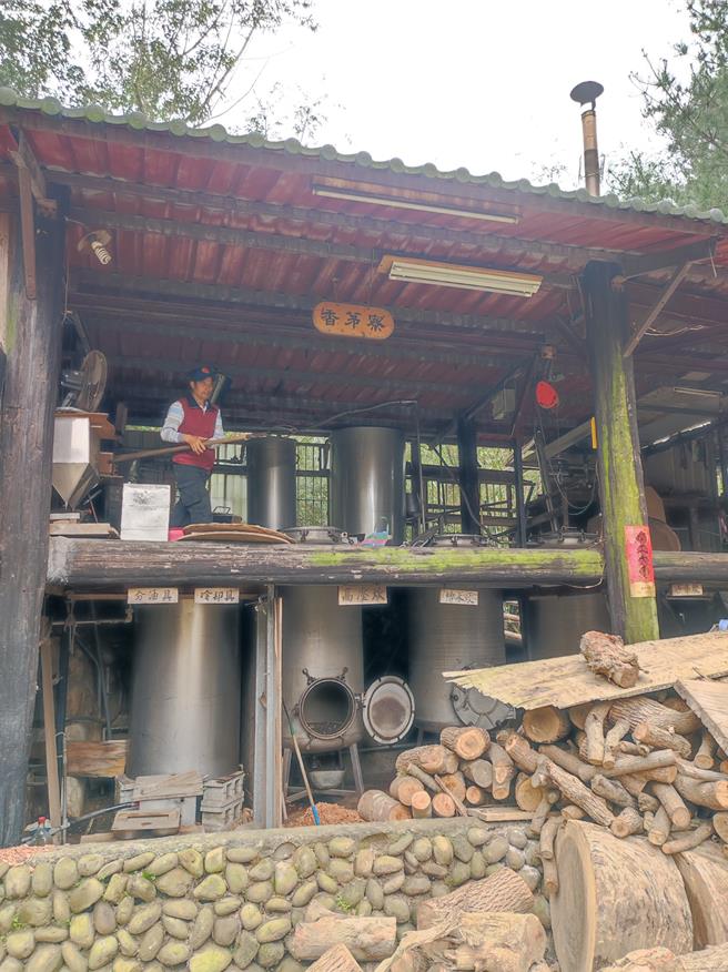 林业保育署新竹分署将带着大家走访三义，伴随林间香气，找寻古老香茅寮。（林保署新竹分署提供／谢明俊苗栗传真）