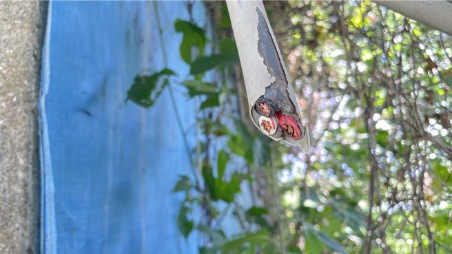 电缆中含有铜线，现在铜价贵，让宵小嗅到商机，害惨了养殖渔民。（读者提供／张毓翎台南传真）