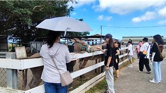 台東景點湧現暑假人潮 訂房率成長10％振興補助明上路