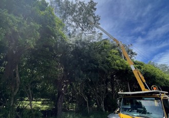 新竹中午近4千戶停電 南寮漁港餐廳中招 客人熱爆全打包