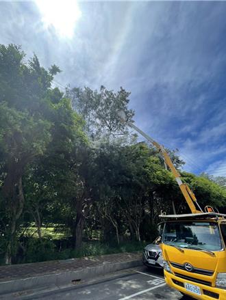 竹市南寮停電3920戶受影響 原因曝光強風吹樹壓電線釀禍