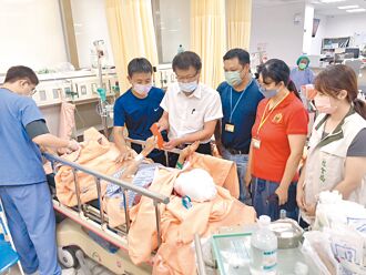 台南 老翁路倒 遭遊蕩犬咬傷送醫 仁德浪浪暫置所 10月底啟用