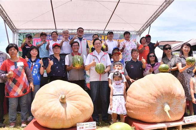 桃園市西瓜評鑑，今年產量略減，但品質跟市場價格也較好。（呂筱蟬攝）