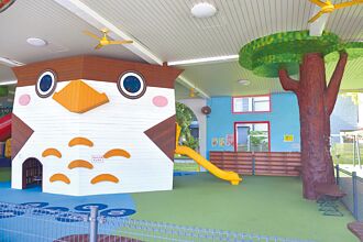 花蓮 迎暑假 貓頭鷹公園休5天養護