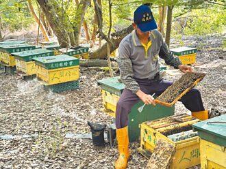 海納百川》農業韌性需落實農保及智慧型農業（李武忠）