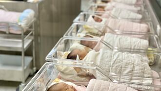 工商社論》「草船借箭」的攬才計畫非長久之計提高生育率才是正辦