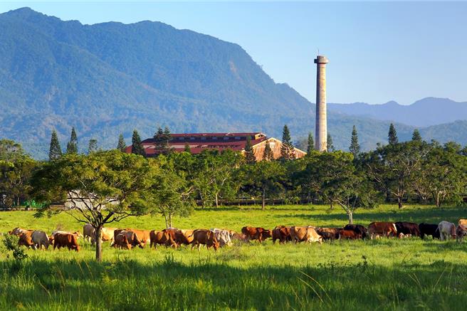 台湾国际热气球嘉年华本月举办，台糖台东池上牧野度假村(图)与花莲日式旅馆两据点，打出最高优惠6折住房活动。(台糖提供)